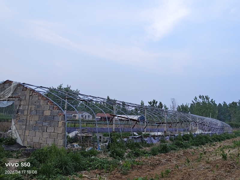 养鹅场地出租，还有两个鱼池养殖种植都可以有需要的联系