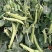 水果豌豆11水果豌豆镰刀豆新品种豌豆大量上市