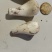 农村土特产，丰都万亩基地，新鲜的蕌头，把子蒜，