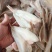山东威海石岛红头鱼，蝴蝶片