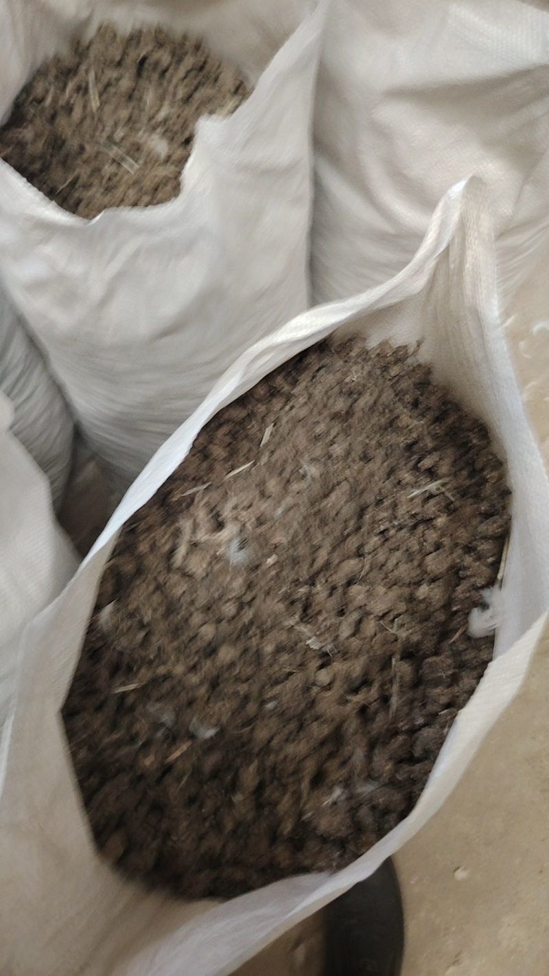 风干小鸡粪，长年大量有货量大从优。