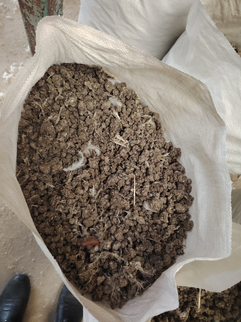 风干小鸡粪，长年大量有货量大从优。