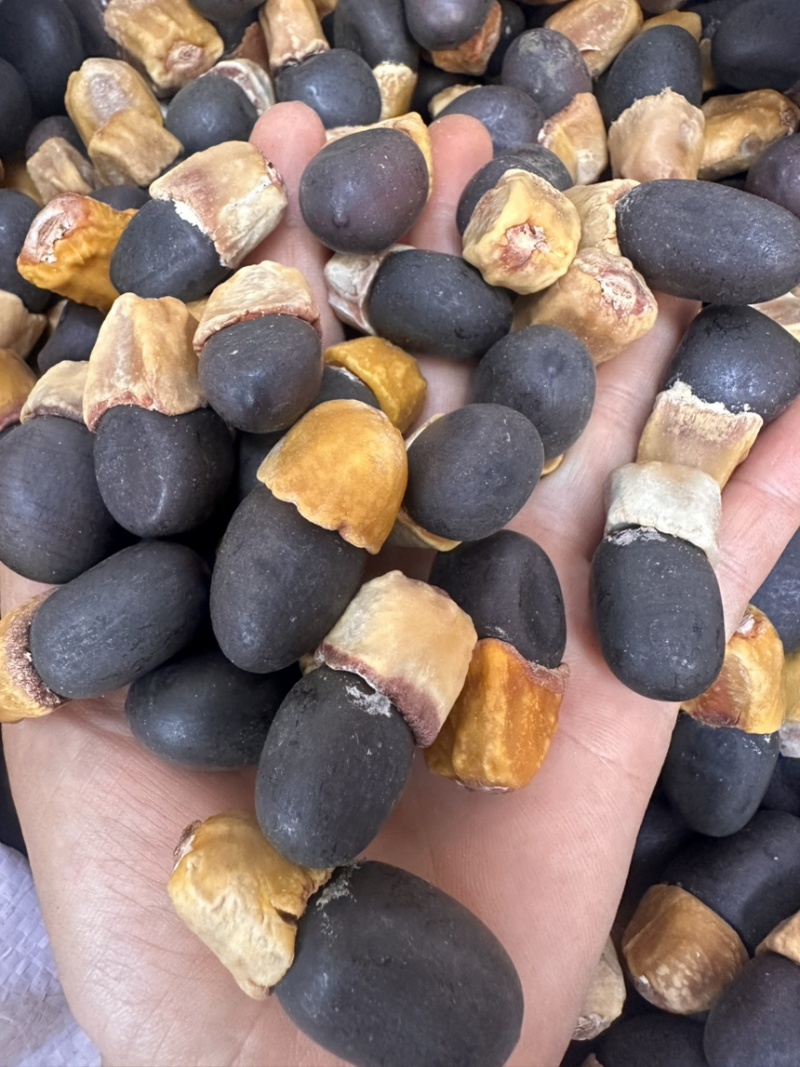 马牙果