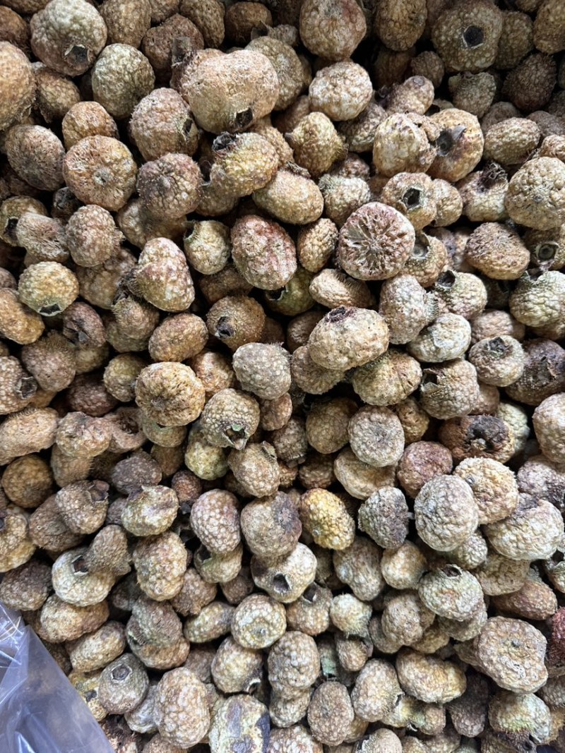 刺梨冻干刺梨果