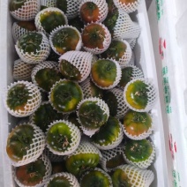 草莓西红柿，内蒙赤峰产区，昼夜温差大，口感好