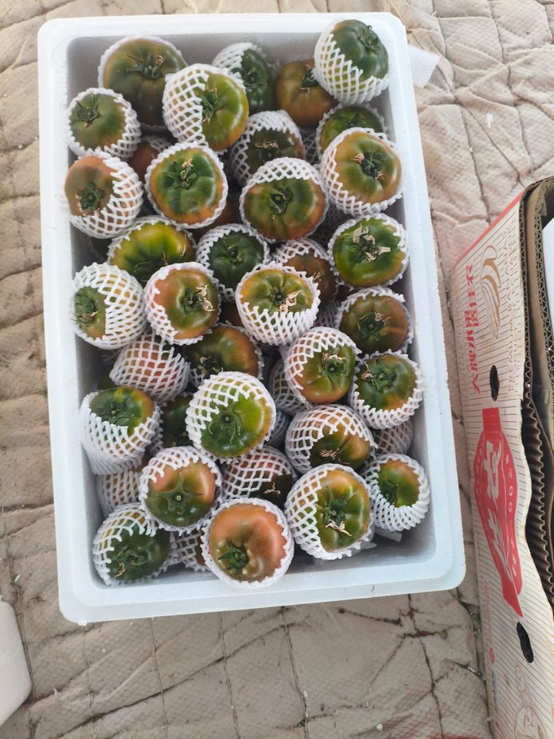 草莓西红柿，内蒙赤峰产区，昼夜温差大，口感好