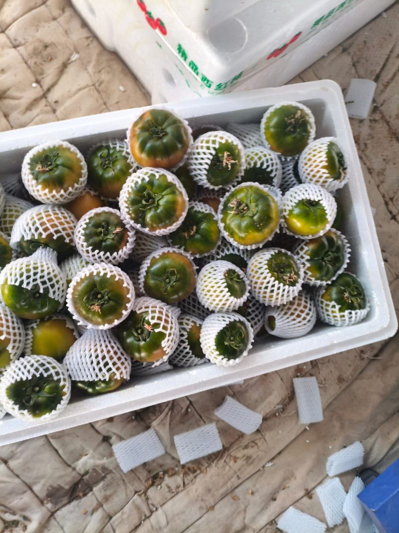 草莓西红柿，内蒙赤峰产区，昼夜温差大，口感好