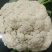 花菜菜花地头