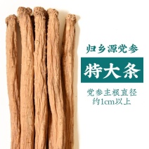 原产地批发党参，黄芪，当归