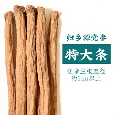 原产地批发党参，黄芪，当归