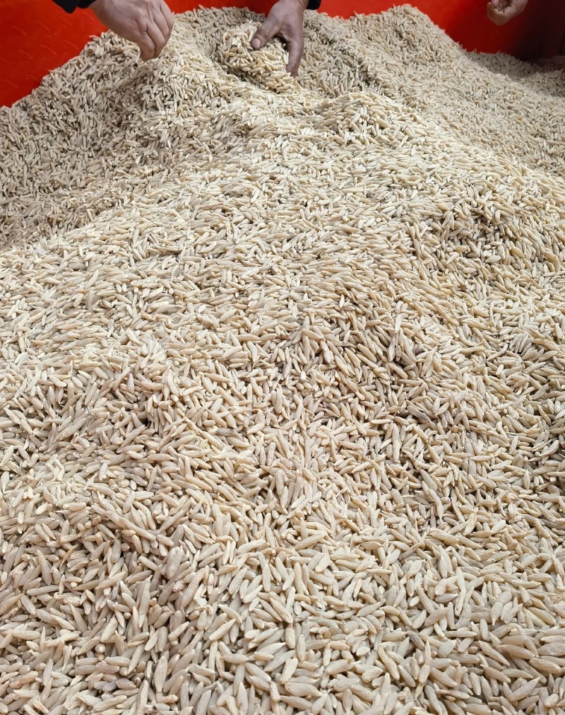 中药材麦冬大量供货产地直销（麦冬颗麦冬根麦冬片）