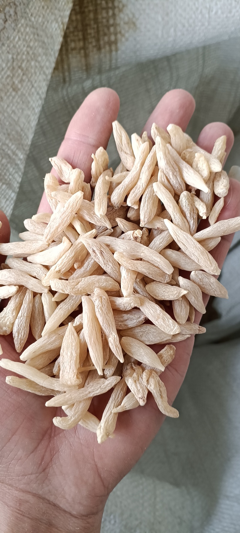 中药材麦冬大量供货产地直销（麦冬颗麦冬根麦冬片）