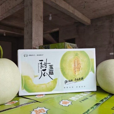【一件代发】玉菇甜瓜糖度高一手货源支持一件代发