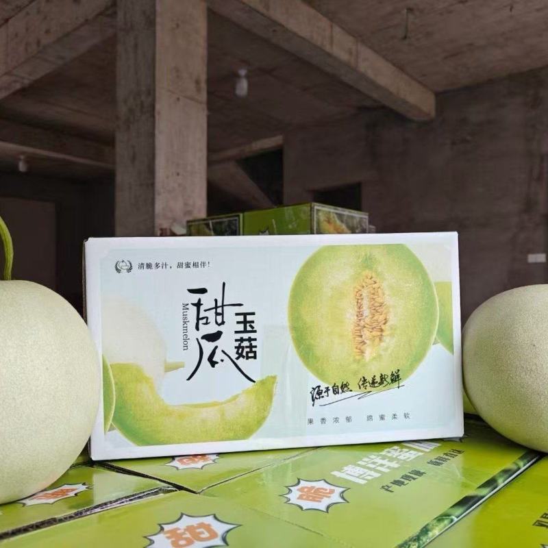 【一件代发】玉菇甜瓜糖度高一手货源支持一件代发