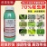 70%啶虫脒蚜虫杀虫剂啶虫脒剂型水分散粒剂农用杀虫剂农药