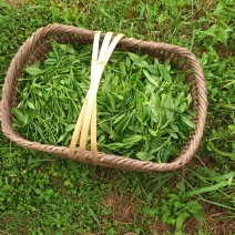 凤冈锌硒有机茶