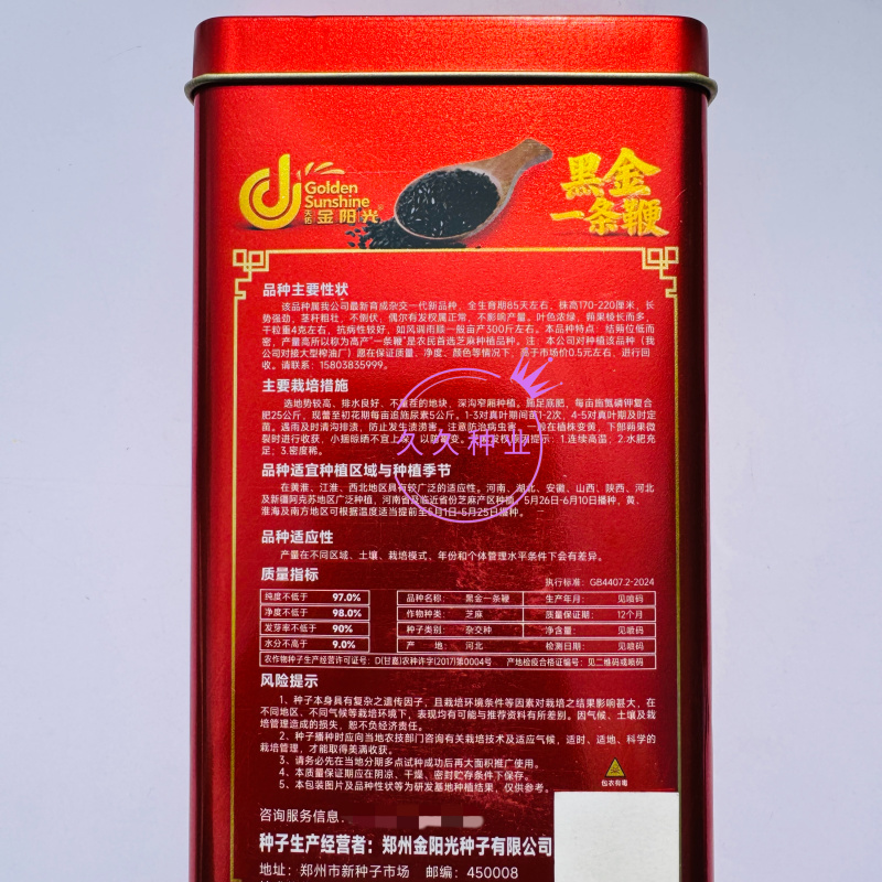 黑金一条鞭杂交一代黑芝麻种子黄杆黄朔结朔低而密抗病