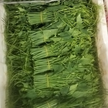 精品