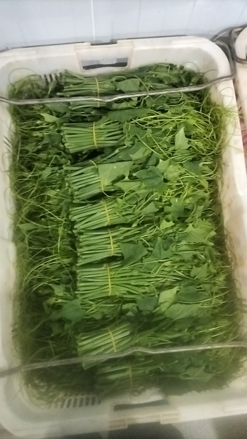 精品