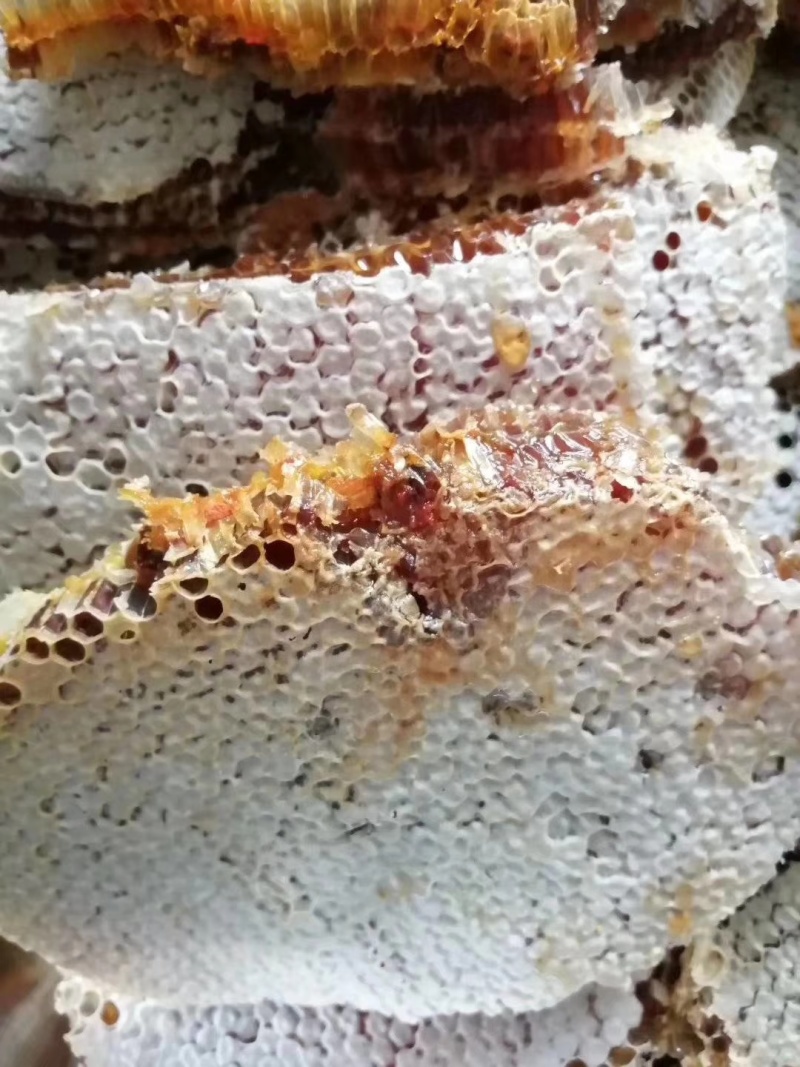 云南西双版纳野生百花蜜蜂蜜非人工喂养