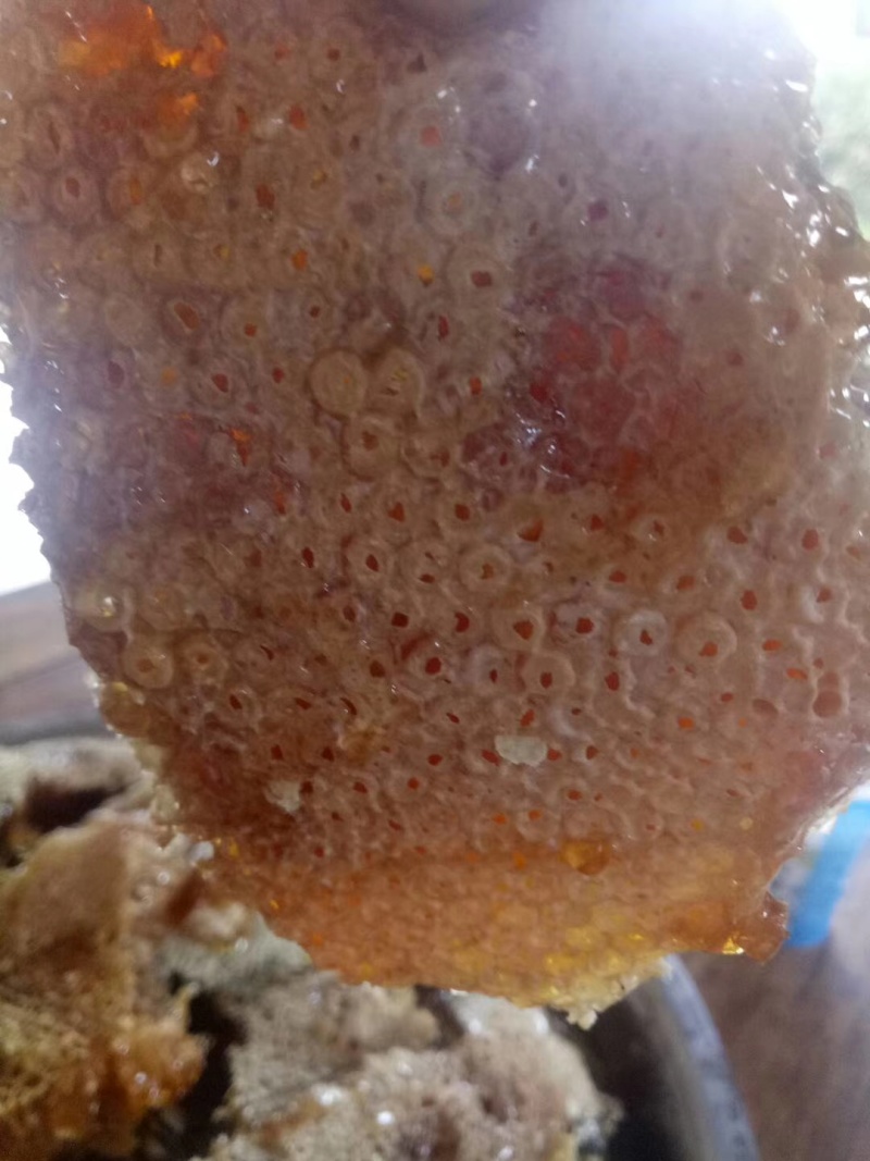 云南西双版纳野生百花蜜蜂蜜非人工喂养