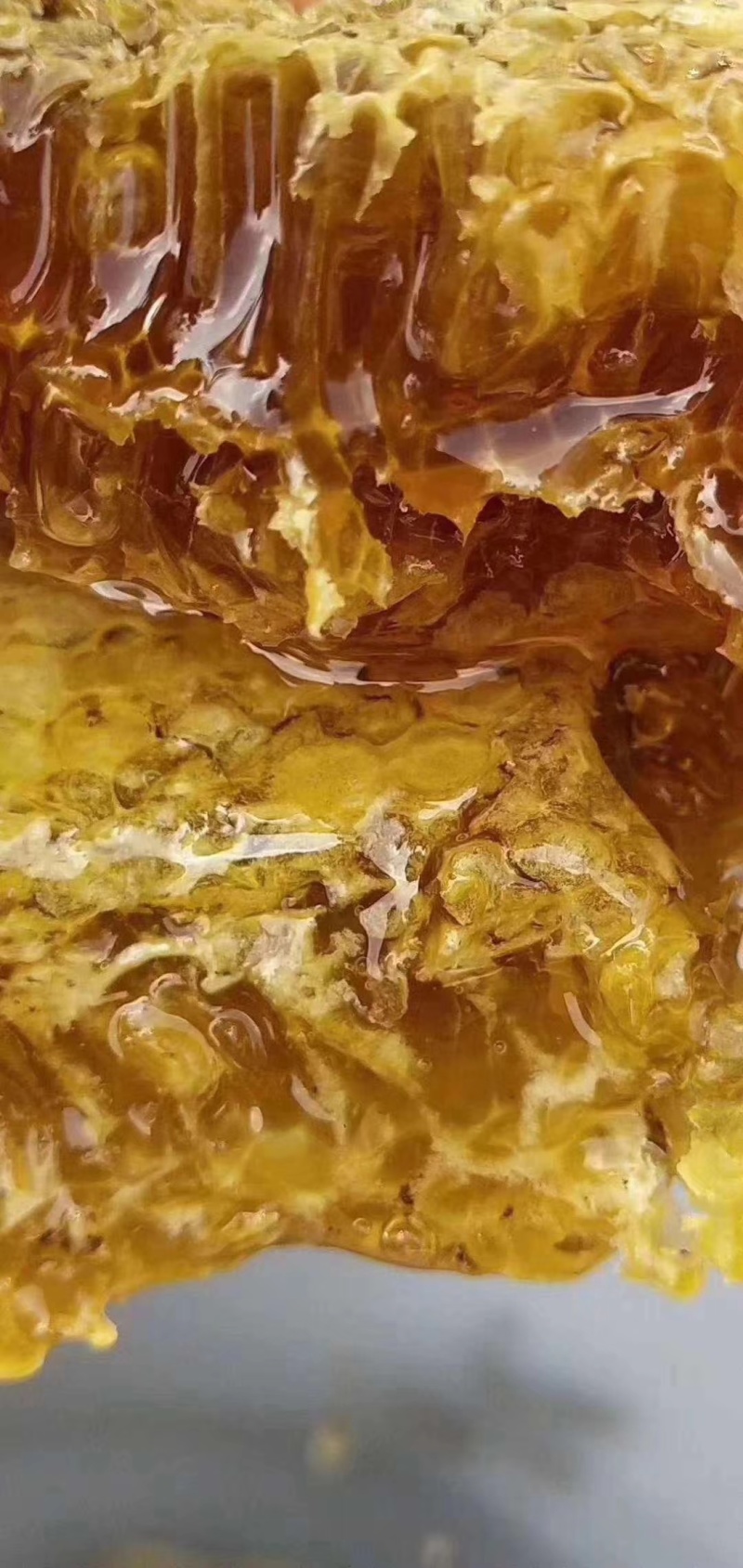 云南西双版纳野生百花蜜蜂蜜非人工喂养