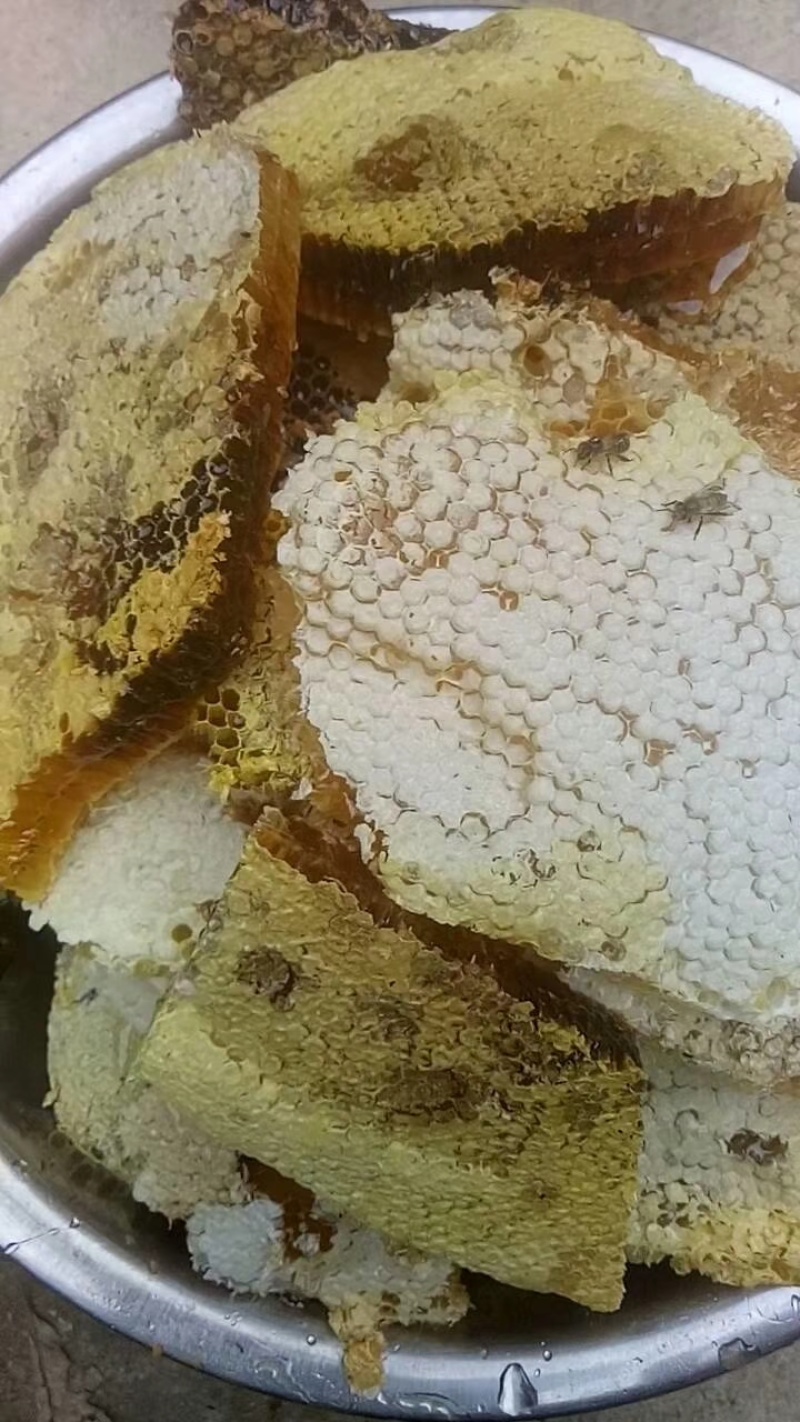 云南西双版纳野生百花蜜蜂蜜非人工喂养