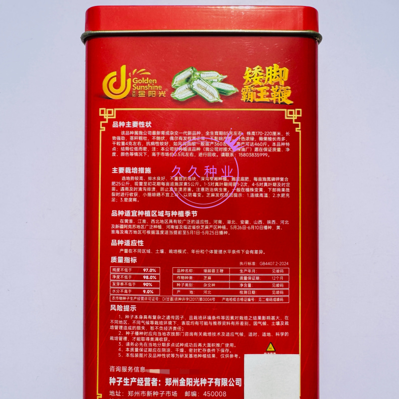 矮脚霸王鞭芝麻种子中早熟杂交一代白芝麻种子茎秆粗壮不倒伏