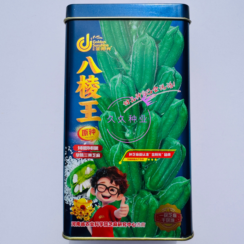 八棱王芝麻种子早熟三黄白芝麻矮脚高油芝麻种籽抗病抗逆性强