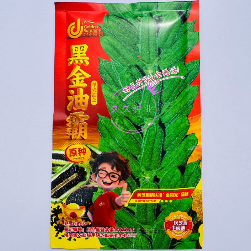 黑金油霸杂交一代黑芝麻种子抗病抗倒伏产量高春夏播芝麻
