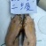 冷冻干冰冷冻B级小青龙