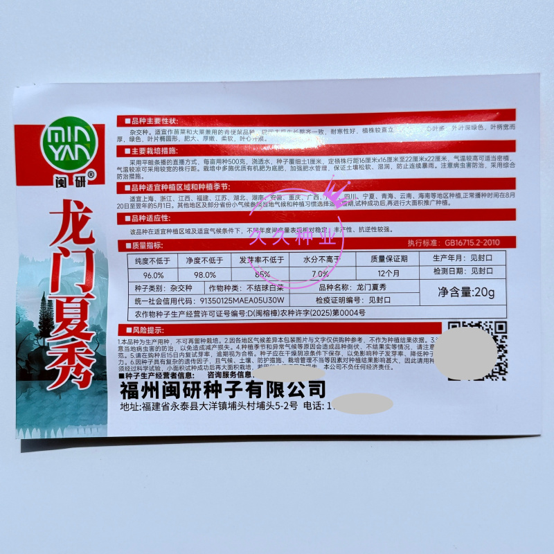 龙门夏秀青梗菜种子耐寒好叶片肥厚脆嫩柔软春秋季小油菜蔬菜