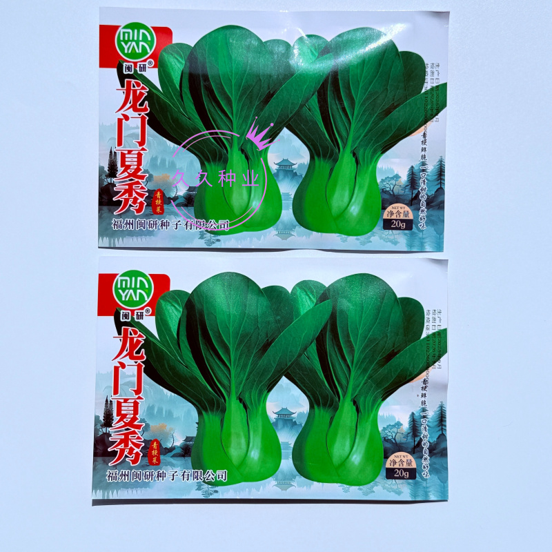 龙门夏秀青梗菜种子耐寒好叶片肥厚脆嫩柔软春秋季小油菜蔬菜