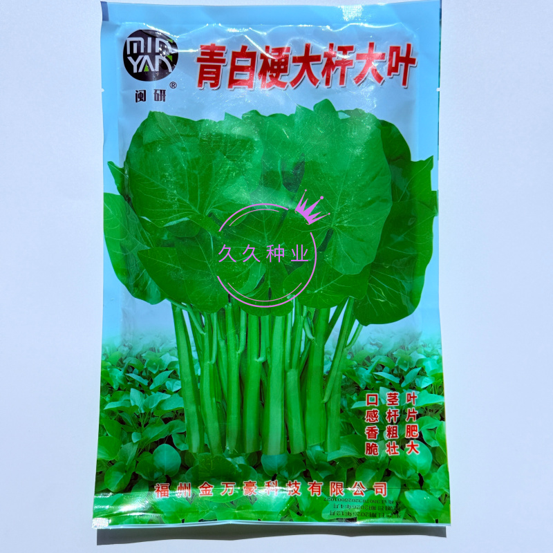 青白杆大杆大叶空心菜种子叶片肥厚春夏秋耐热耐湿空心菜