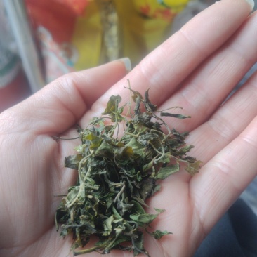 酸枣芽茶被称为东方睡叶又称为野生手工茶产地批发零售