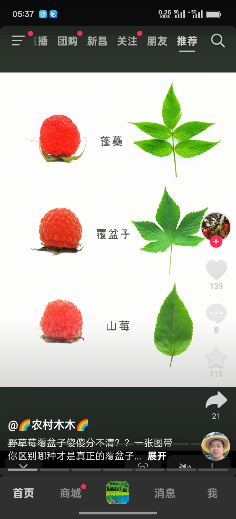山莓