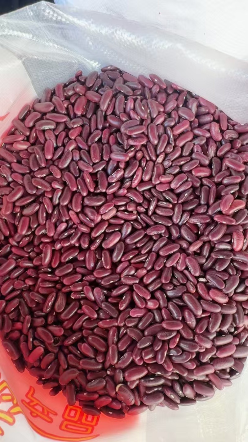 缅甸进口红腰豆