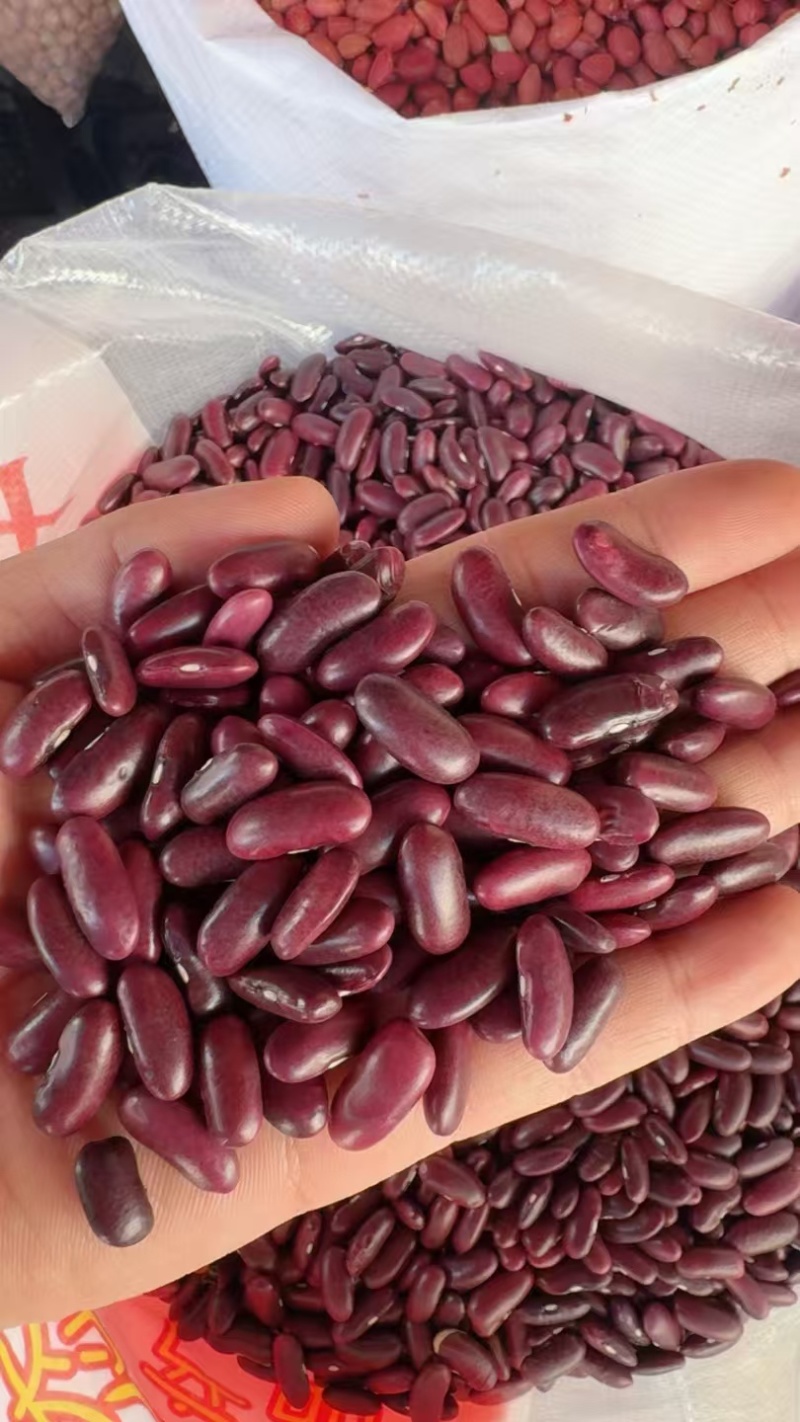 缅甸进口红腰豆