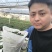 金鱼花盆栽吊兰金鱼草带花苞基地长期供应电商档口市场