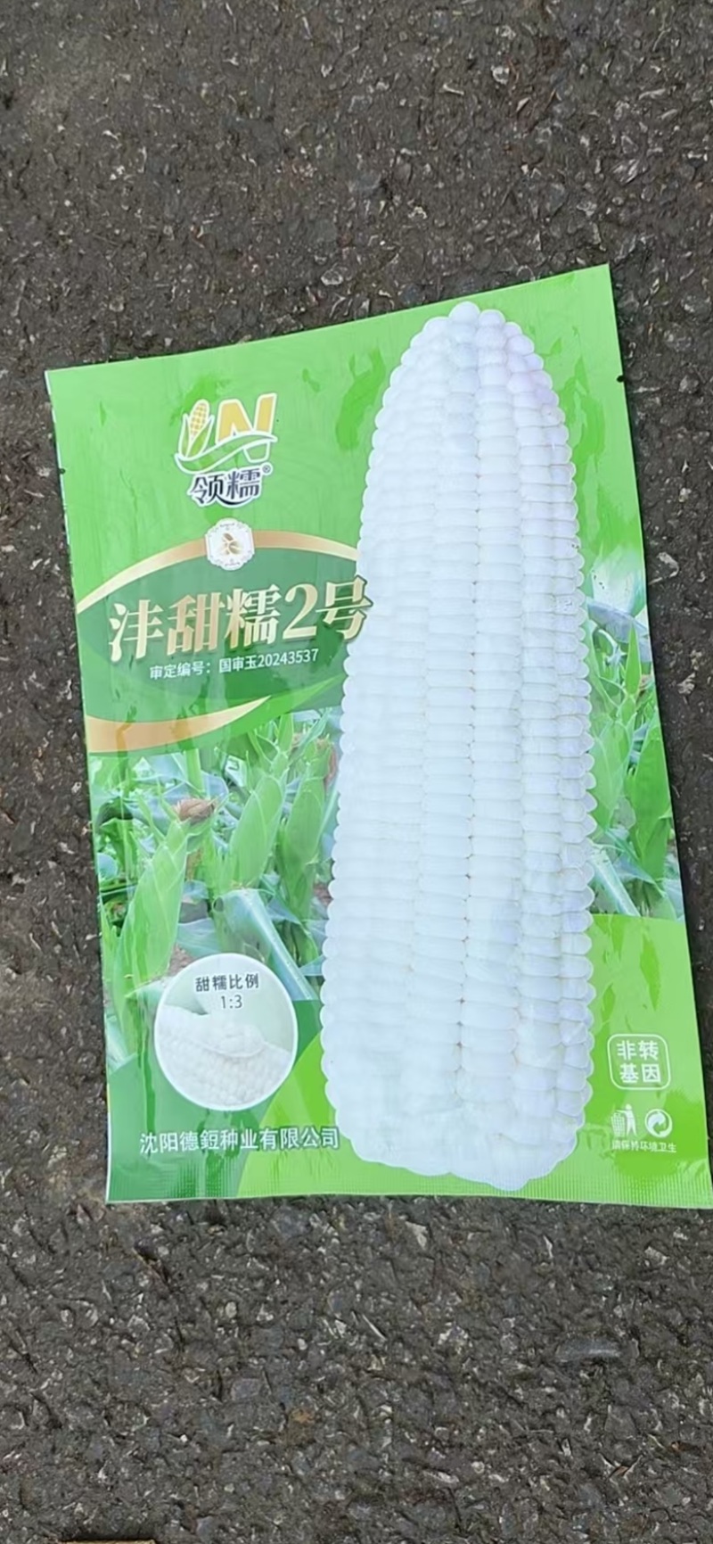 白糯玉米苗