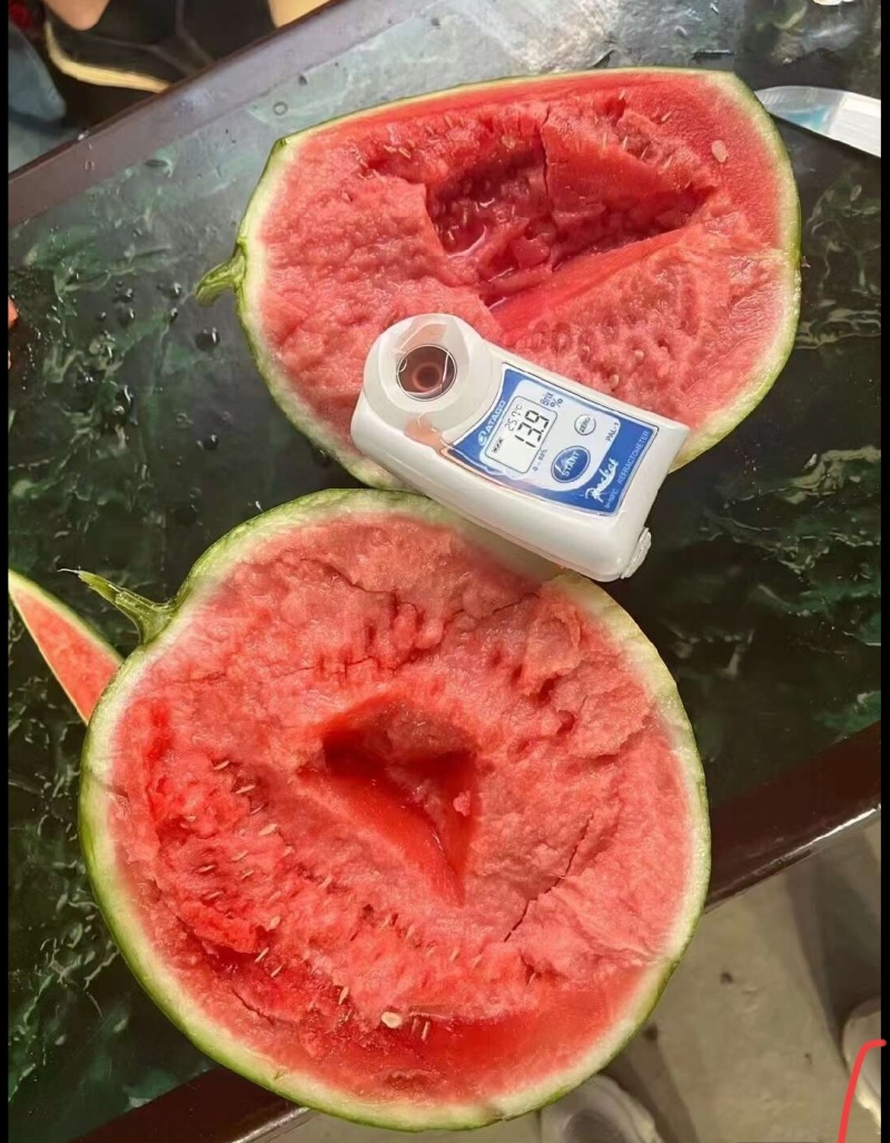 无子丨麒麟丨美都丨84价格丨便宜丨一一质量好，甜度高一一