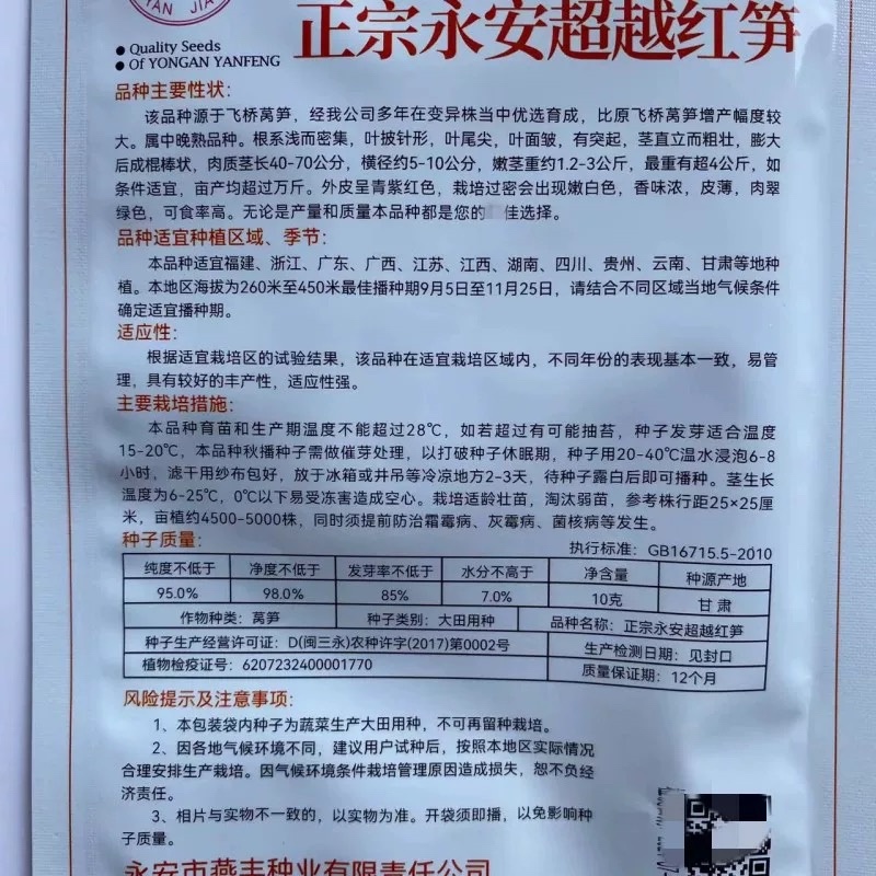 永安飞桥莴笋种子红尖叶莴笋种子皮薄香味浓可食用率高基地用