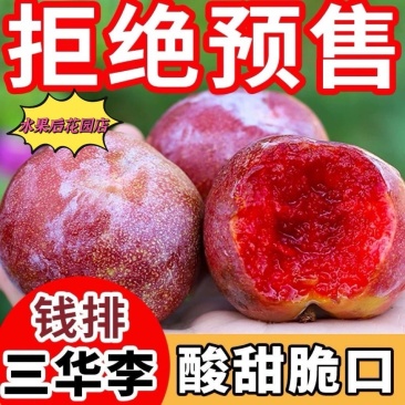 钱排红心三华李代发