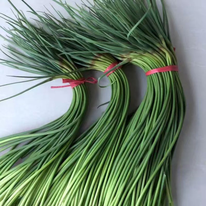 红帽蒜薹山东商河蒜薹基地直供量大从优品质保证
