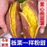 正宗板栗沙地新鲜红皮红薯黄心粉鸡蛋黄香甜番薯无丝无筋地瓜