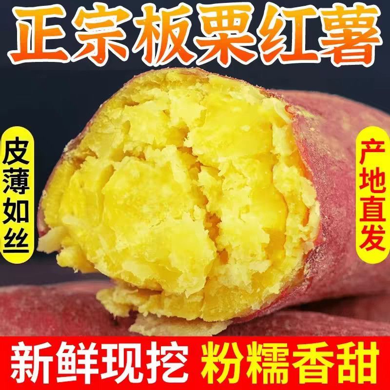 正宗板栗沙地新鲜红皮红薯黄心粉鸡蛋黄香甜番薯无丝无筋地瓜