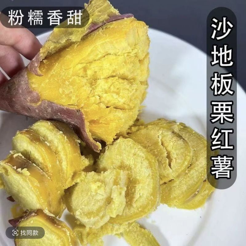 正宗板栗沙地新鲜红皮红薯黄心粉鸡蛋黄香甜番薯无丝无筋地瓜