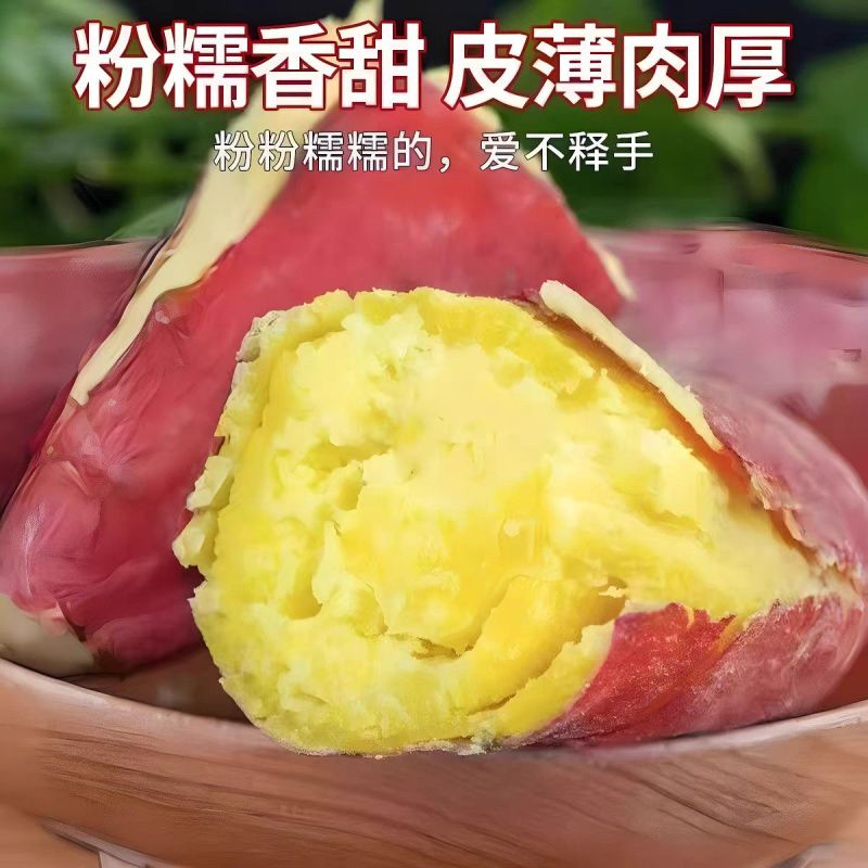 正宗板栗沙地新鲜红皮红薯黄心粉鸡蛋黄香甜番薯无丝无筋地瓜