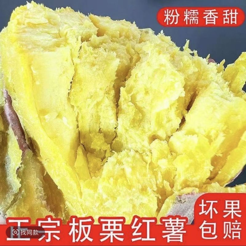 正宗板栗沙地新鲜红皮红薯黄心粉鸡蛋黄香甜番薯无丝无筋地瓜