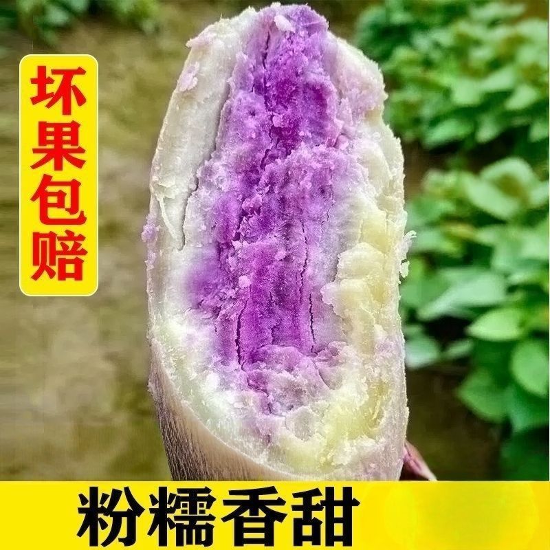 高州正宗冰淇淋红薯新鲜现挖一点红沙地香甜紫心花心地瓜